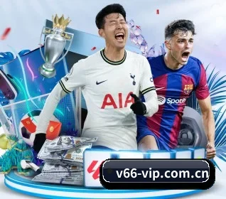 V66体育 APP